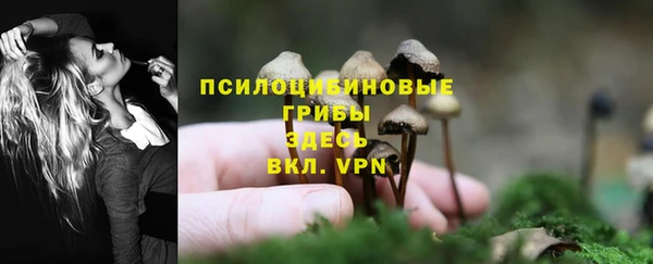 шишки Осташков