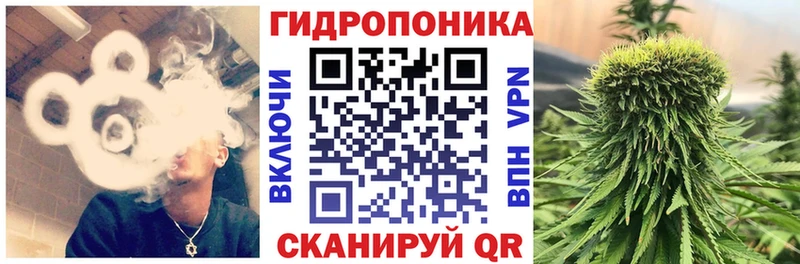 Бошки Шишки White Widow  Апатиты 